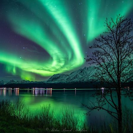 Lena Apartment Tromso Kvaloya المظهر الخارجي الصورة