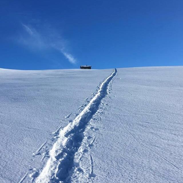 Lena Apartment Tromso Kvaloya المظهر الخارجي الصورة